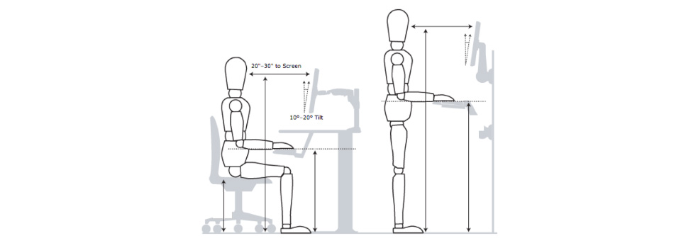 Making your Workspace Workable with Office Ergonomics