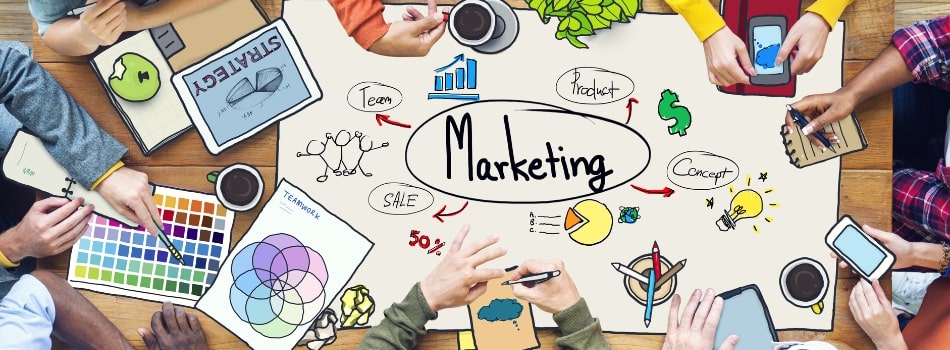 Build Your Marketing Team